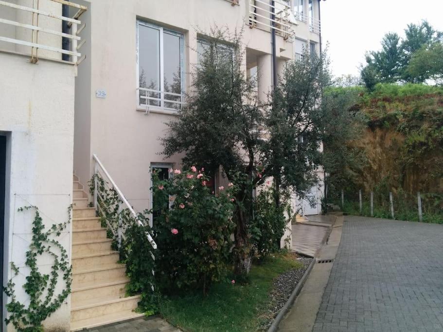 Exclusive Apartment 地拉那 外观 照片
