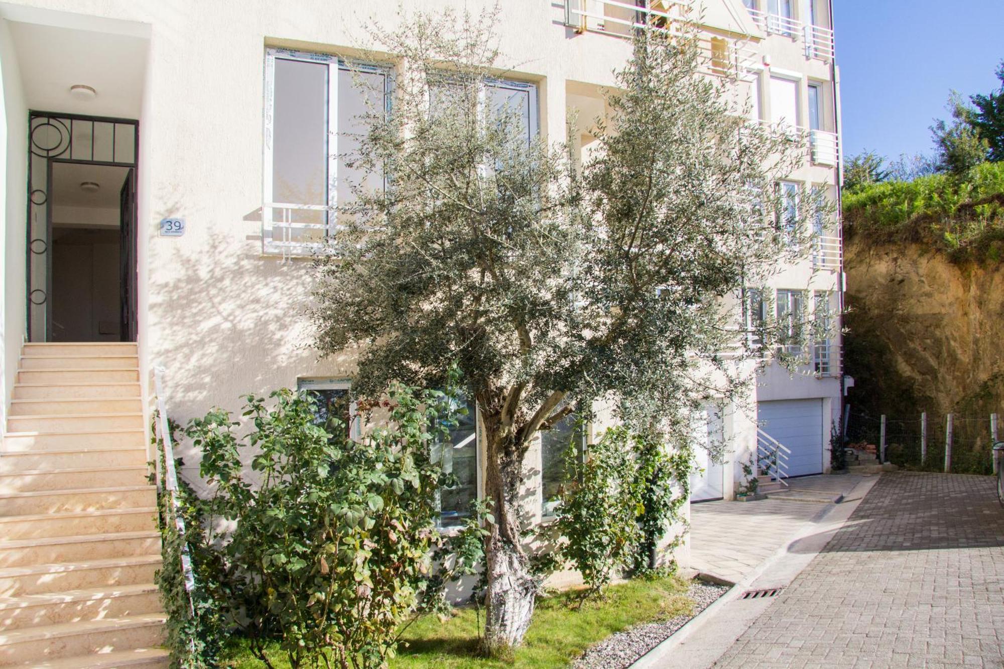 Exclusive Apartment 地拉那 外观 照片